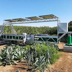 Zur Gemüseproduktion mit Photovoltaik: Der Agrarroboter „Davegi“ im Einsatz auf dem Feld.