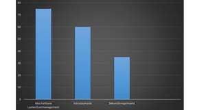 Abschaltbare Lasten und Lastmanagement sind für 75 Prozent der befragten Unternehmen ein wichtiges Thema, der Sekundärregelmarkt für nur 20 Prozent.