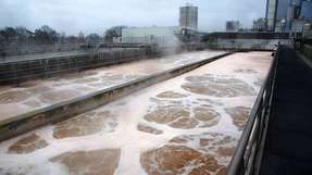 Die aerobe biologische Stufe der Abwasserreinigungsanlage eines Papierproduzenten in Schwedt. 