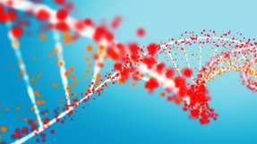 Die erforschte Methode könnte für spezifische Untersuchungen von RNA, DNA und Polypeptiden verwendet werden.