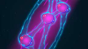 Darstellung von verschränkten Atomen in einem Interferometer: Mit einer Kombination aus zwei quantenmechanischen Phänomenen wollen Forscher fundamentalen physikalischen Gesetzen auf den Grund gehen.