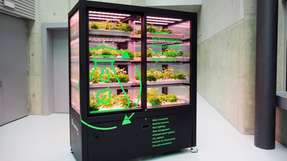 Das Fraunhofer IKTS bietet kompakte Technologien und Komponenten für ein effizientes Wasser-, Energie und Gasmanagement für Indoor-Farming Units.