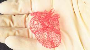 Der Freiformdruck ermöglicht es den Forschern, komplizierte Strukturen, wie dieses Modell eines Herzens, herzustellen, die mit dem herkömmlichen schichtweisen 3D-Druck nicht möglich wären. Die Strukturen können als Gerüste für das Tissue Engineering oder die Gerätefertigung eingesetzt werden.