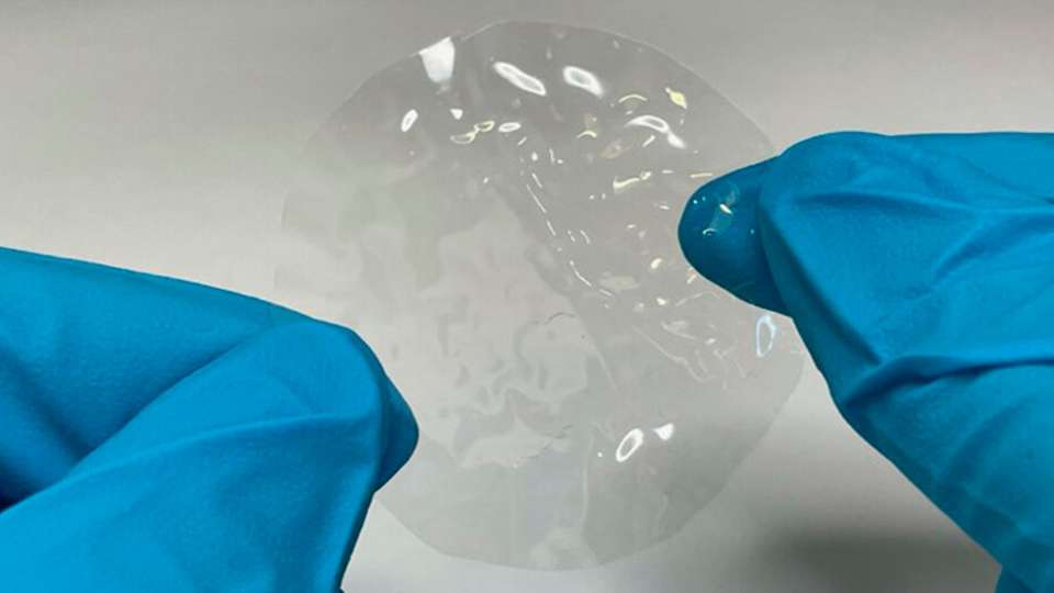 Leicht formbarer Kunststoff aus Wasser und Pflanzen hergestellt Der neue Biokunststoff besteht aus hydroplastischen Polymeren, die sich bei Kontakt mit Wasser formen lassen.
