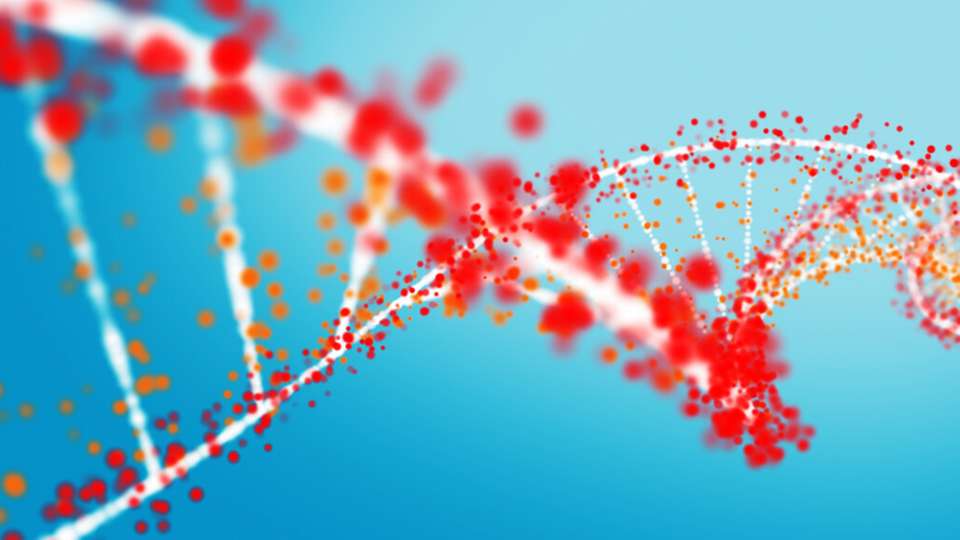 Die erforschte Methode könnte für spezifische Untersuchungen von RNA, DNA und Polypeptiden verwendet werden.