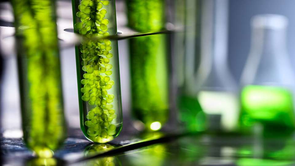 Ein Team hat eine Methode entwickelt, um in einem einzigen Schritt einen luftstabilen nickelhaltigen Katalysator zu synthetisieren, der aus sicheren und kostengünstigen Materialien hergestellt wird – zusätzlich wollen die Forschenden die Produktion so grün wie möglich halten.