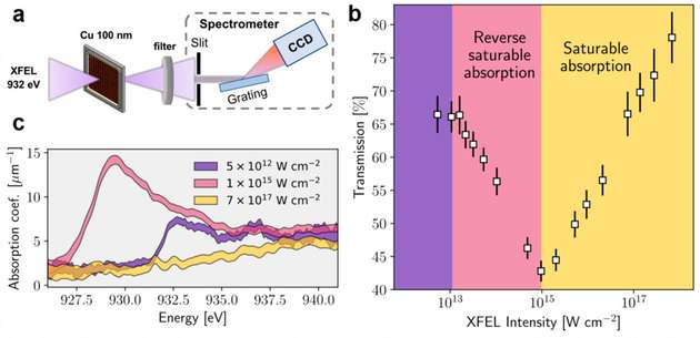 Skizze des experimentellen Aufbaus und Messergebnisse