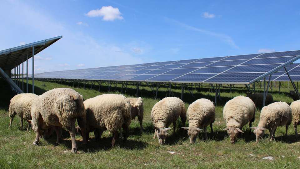 BayWa r.e. errichtet 136 MWp-Solarcluster auf stillgelegtem Militärgelände in Frankreich für grüne Energie.