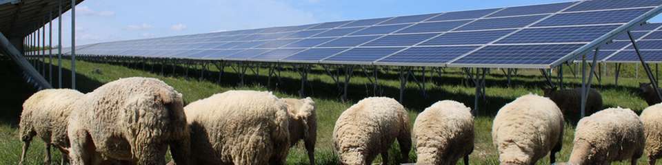 BayWa r.e. errichtet 136 MWp-Solarcluster auf stillgelegtem Militärgelände in Frankreich für grüne Energie.