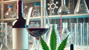 Die 52. Deutschen Lebensmittelchemietage sind für die Prozessindustrie besonders interessant, da sie neue Standards und neue Methoden zur Qualitätssicherung und Analyse von Produkten wie Cannabis und Wein präsentieren, die für die Entwicklung von Produktions- und Prüfprozessen entscheidend sind.