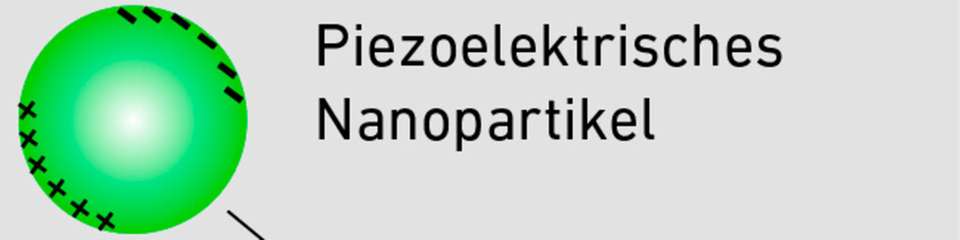 Das piezoelektrische Nanopartikel agiert als Katalysator und setzt eine chemische Reaktion in Gang: Das PFOS-Molekül wird zu 90.5 Prozent abgebaut und zu 29 Prozent defluoriert.