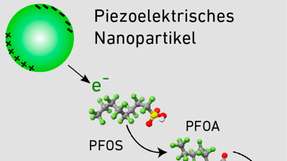 Das piezoelektrische Nanopartikel agiert als Katalysator und setzt eine chemische Reaktion in Gang: Das PFOS-Molekül wird zu 90.5 Prozent abgebaut und zu 29 Prozent defluoriert.