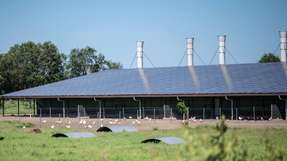 Energiewende vom Acker: Intelligente Verkabelung für mehr Effizienz Big Dutchman stattet Solaranlagen für Landwirtschaftsbetriebe mit Helukabel-Verbindungstechnik aus.