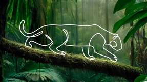 Nur wer clever ist, findet den Weg Mit KI durch den Datendschungel.