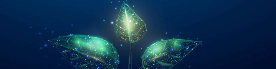 Das „halbkünstliche Blatt“ ahmt die Photosynthese nach: den Prozess, mit dem Pflanzen Sonnenlicht in Energie umwandeln, und benötigt keine externe Energiequelle.