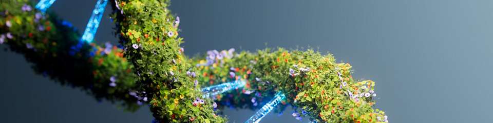 Nach Jahren des Wachstumsdrucks folgt nun die Konsolidierung: Investoren bewerten Green-Tech-Unternehmen zunehmend anhand von Daten, Effizienz und wirtschaftlicher Belastbarkeit.