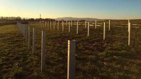 Hier entsteht ein neuer Solarpark in Ellerstadt, der Natur- und Umweltschutz verbindet.