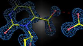 Struktureller Schnappschuss der enzymatischen Reaktion im humanen Enzym Orotidin-5‘-phosphat Decarboxylase. Die beiden negativen Ladungen des Substrats und Enzyms stoßen sich nicht ab, sondern gehen eine attraktive Wechselwirkung ein.