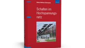 Schwerpunkt: Darstellung des dynamischen Verhaltens von Netzen