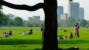 Mehr Grün in der Stadt verbessert nicht nur die Lebensqualität, sondern besitzt auch einen ökonomischen Wert.